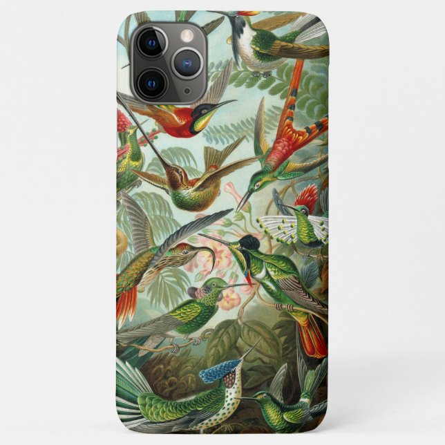 Ernst Haeckel Gorgeous vibranous Hummingbird Case-Mate iPhone Hülle (Rückseite)
