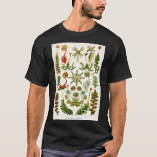 Ernst Haeckel - Hepaticae (Liverworts) - Vintag B T-Shirt
