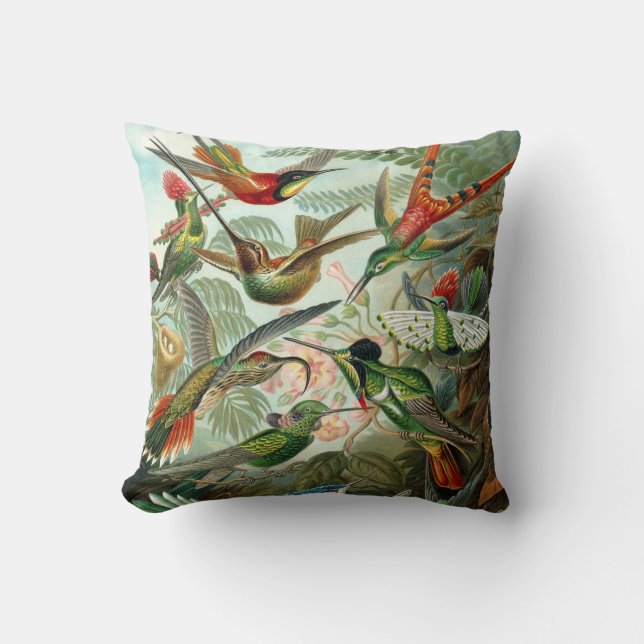 Ernst Haeckel ~ Hummingbirds Cushions Kissen (Vorderseite)