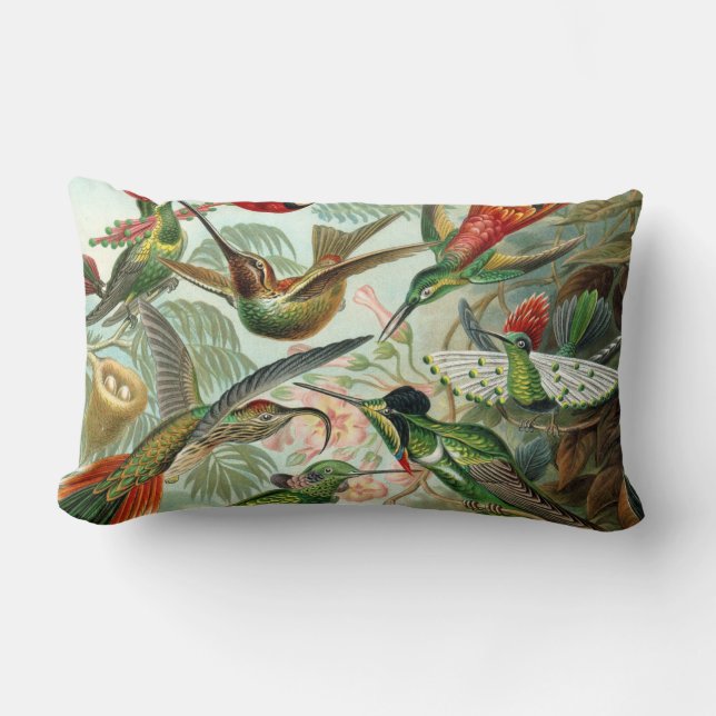 Ernst Haeckel Hummingbirds - Kunstformen der Natur Lendenkissen (Vorderseite)