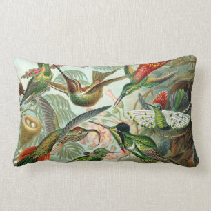 Ernst Haeckel Hummingbirds - Kunstformen der Natur Lendenkissen