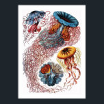 Ernst Haeckel Jellyfish Poster<br><div class="desc">Ernst Haeckel Jellyfish</div>