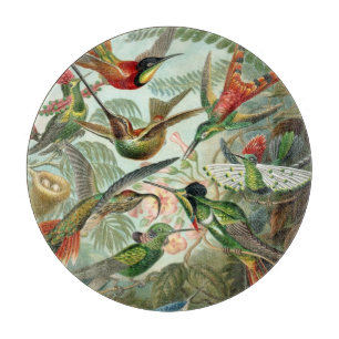 Ernst Haeckel Kolibris - Kunstformen der Natur Schneidebrett