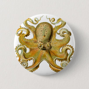 Ernst Haeckel-Krake Button
