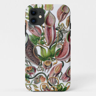 Ernst Haeckel Kunstformen der Natur Nepenthaceae P Case-Mate iPhone Hülle