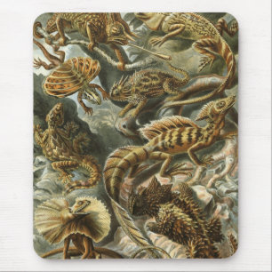 Ernst Haeckel - Lacertilia Mousepad