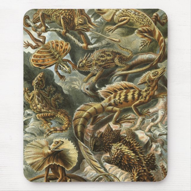 Ernst Haeckel - Lacertilia Mousepad (Vorne)