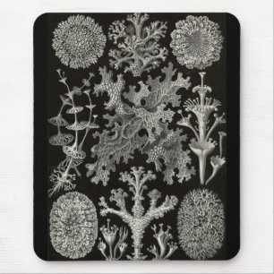 Ernst Haeckel - Lichenes Mousepad