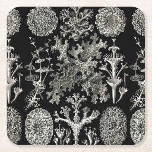 Ernst Haeckel Lichens Rechteckiger Pappuntersetzer