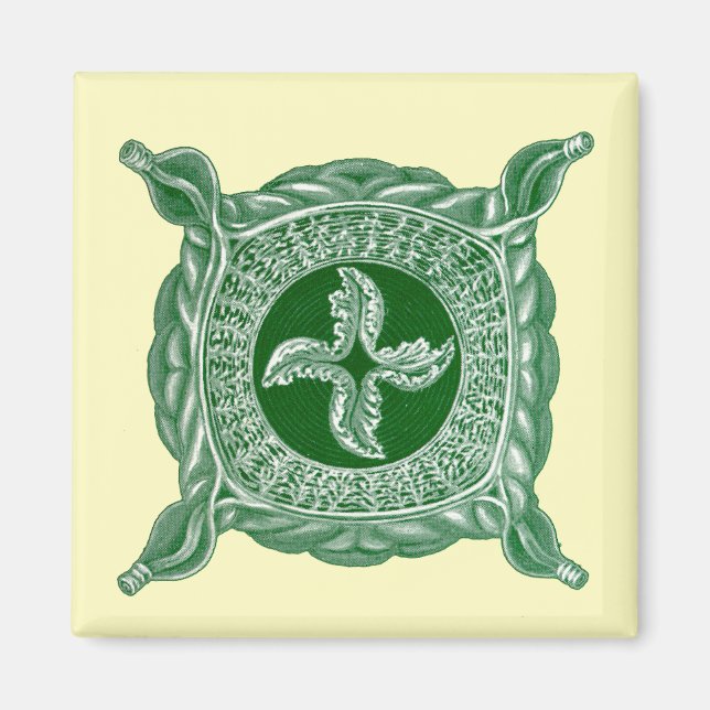 Ernst Haeckel Magnet (Vorne)