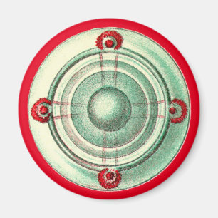 Ernst Haeckel Magnet