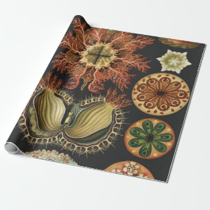 Ernst Haeckel Maritime Meeresleben Kunst Collage Geschenkpapier