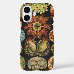 Ernst Haeckel Maritime Meeresleben Kunst Collage iPhone 16 Hülle