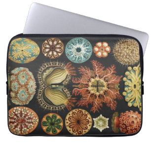 Ernst Haeckel Maritime Meeresleben Kunstcollage Laptopschutzhülle
