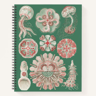 Ernst Haeckel Meer Leben Rosa Qualle Grün Poster Notizbuch