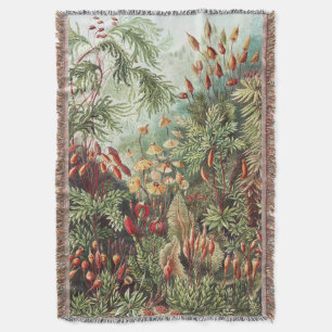 Ernst Haeckel Moos Naturdruck Dark Academia Decke