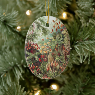 Ernst Haeckel Moos Naturdruck Dark Academia Keramik Ornament