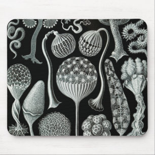 Ernst Haeckel Naturalista Mousepad