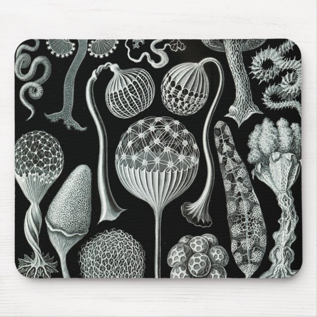 Ernst Haeckel Naturalista Mousepad (Vorne)