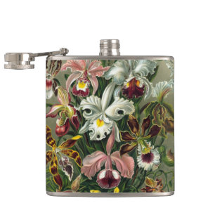 Ernst Haeckel Orchideen, Vintage Regenwald Blumen Flachmann