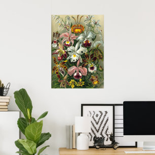 Ernst Haeckel Orchideen, Vintage Regenwaldblumen Poster