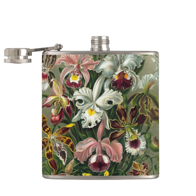 Ernst Haeckel Orchids, Vintage Regenwald-Blume Flachmann (Geöffnet)