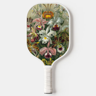 Ernst Haeckel Orchids, Vintage Regenwald-Blume Pickleball Schläger