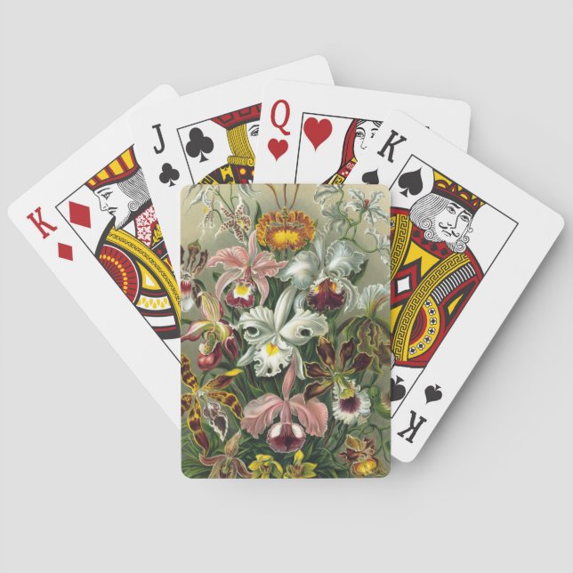 Ernst Haeckel Orchids, Vintage Regenwald-Blume Spielkarten (Rückseite)