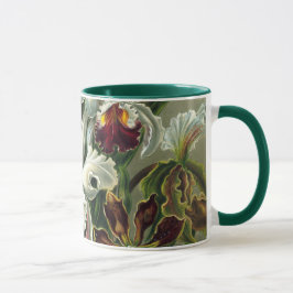 Ernst Haeckel Orchids, Vintage Regenwald-Blume Tasse