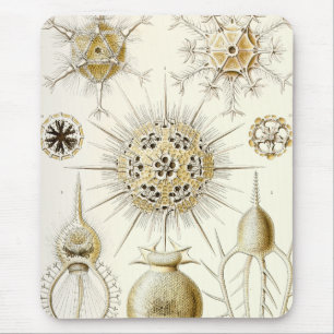 Ernst Haeckel Phaeodaria Mousepad