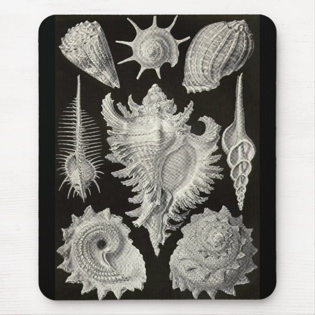 Ernst Haeckel - Prosobranchia Mousepad (Vorne)