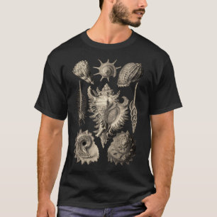 Ernst Haeckel Prosobranchia Muscheln T-Shirt