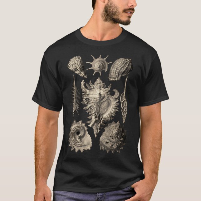 Ernst Haeckel Prosobranchia Muscheln T-Shirt (Vorderseite)
