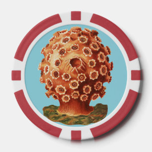 Ernst Haeckel Rotes Korallenmeer Meeresleben Pokerchips