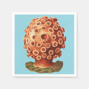 Ernst Haeckel Rotes Korallenmeer Meeresleben Serviette