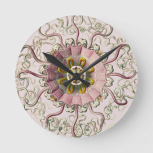 Ernst Haeckel’s Peromedusae Runde Wanduhr