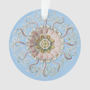 Ernst Haeckel Schiffs-Pink Qualle Medusa Ornament