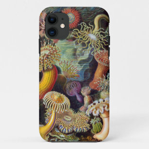 Ernst Haeckel-Seeanemonen iPhone 11 Hülle
