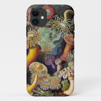 Ernst Haeckel-Seeanemonen iPhone 11 Hülle