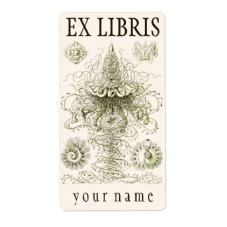 Ernst Haeckel Siphonophorae Exlibris