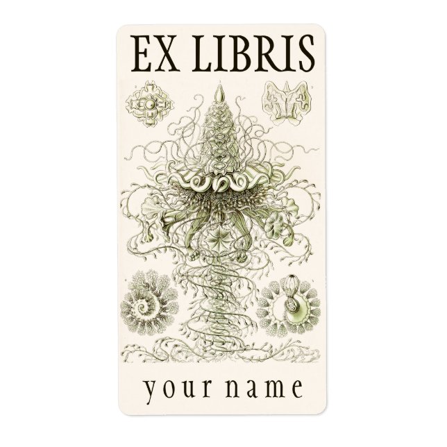 Ernst Haeckel Siphonophorae Exlibris (Vorne)