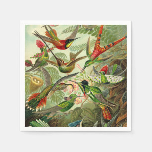 Ernst Haeckel Trochilidae Hummingbird Serviette