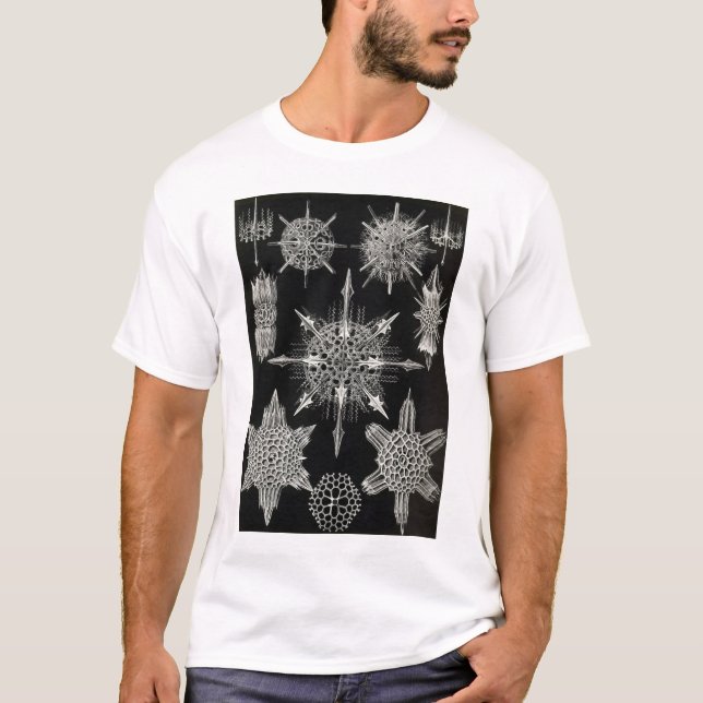 Ernst Haeckel - Tshirt Acanthophracta (Devant)