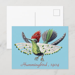 Ernst Haeckel Vintag Hummingbird Bird Postkarte