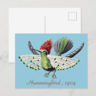 Ernst Haeckel Vintag Hummingbird Bird Postkarte
