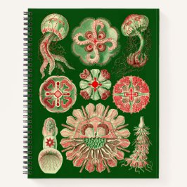 Ernst Haeckel Vintag Jellyfish Illustration Notizbuch