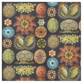 Ernst Haeckels Ascidiae Ozean-Leben Stoff