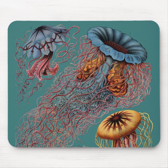 Ernst Haeckels Disco Medusae Mousepad (Vorne)
