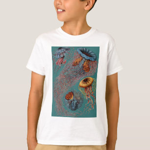 Ernst Haeckels Disco Medusae T-Shirt