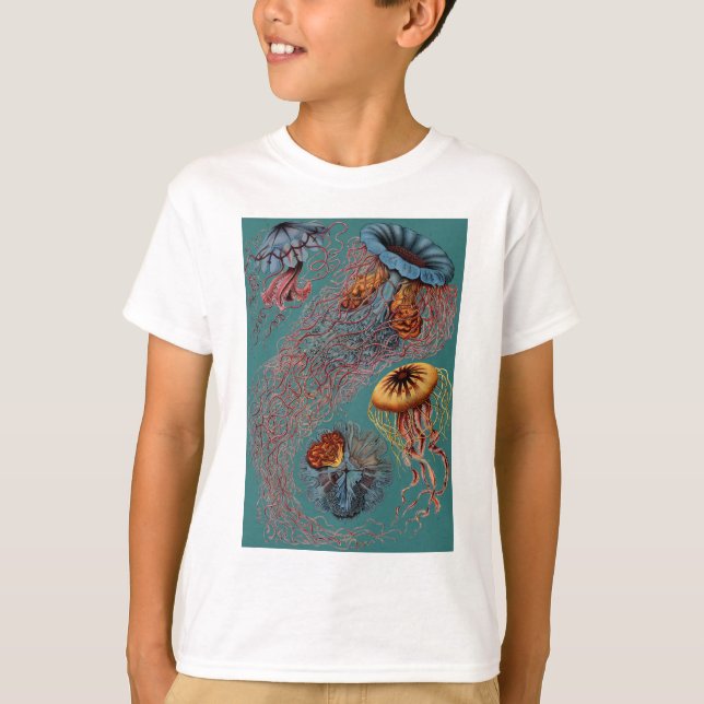 Ernst Haeckels Disco Medusae T-Shirt (Vorderseite)